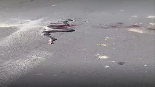 انتشار الأفاعي والحشرات بسيدي بوزيد 5ème tranche يثير قلق الساكنة وسط مطالب بتدخل جماعي عاجل…