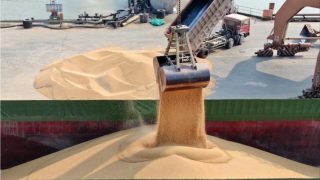 إفراج المغرب عن دعم استيراد القمح اللين يعد الفاعلين الأوروبيين بانتعاشة…