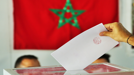 الانتخابات التشريعية.. منح التسهيلات للأطر والموظفين والأعوان من أجل ممارسة حقهم في التصويت (بلاغ)