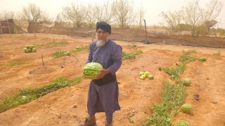 صالح الكوري يزرع في السمارة درسا في الكد والاعتماد على النفس..!!