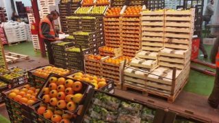 حملات مقاطعة واستهداف للشاحنات .. فلاحة المغرب أمام ضغط الإسبان…