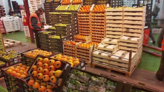 حملات مقاطعة واستهداف للشاحنات .. فلاحة المغرب أمام ضغط الإسبان…
