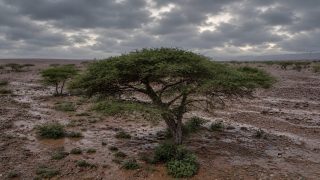 أمطار وزخات رعدية مرتقبة بالأقاليم الجنوبية وانخفاض في درجات الحرارة بعدد من مناطق المغرب