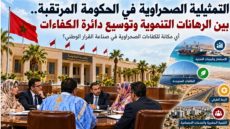 الكفاءات الصحراوية والحكومة المرتقبة.. هل يحضر الجنوب في صناعة القرار أم يظل حاضرا في حسابات التمثيلية..؟