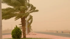 رياح قوية نسبيا وغبار محتمل بالأقاليم الصحراوية.. الأرصاد الجوية تكشف توقعات طقس الأحد